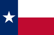 Texas Medicaid